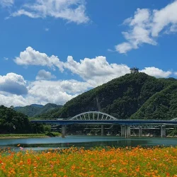 danyang–kunshan grand bridge världens längsta bro