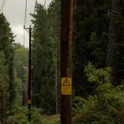 elledning