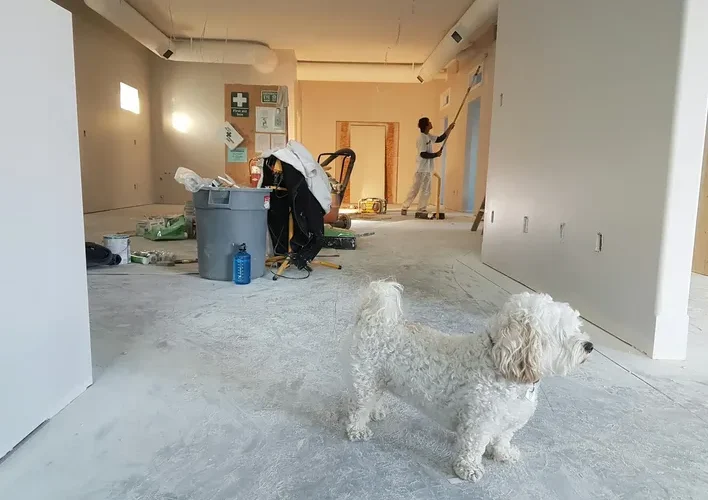 Renoveringslån – finansiering för ditt hemprojekt